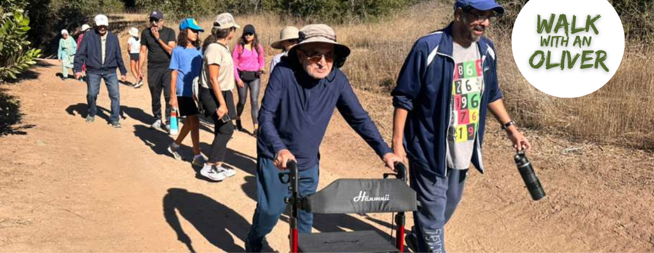 Olive Community Services, Inc.